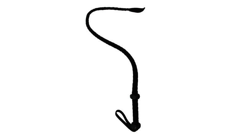 Single Tail Leather Whip - Image 1
