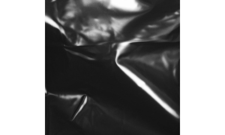 PVC-Orgy-Sheet - Image 2
