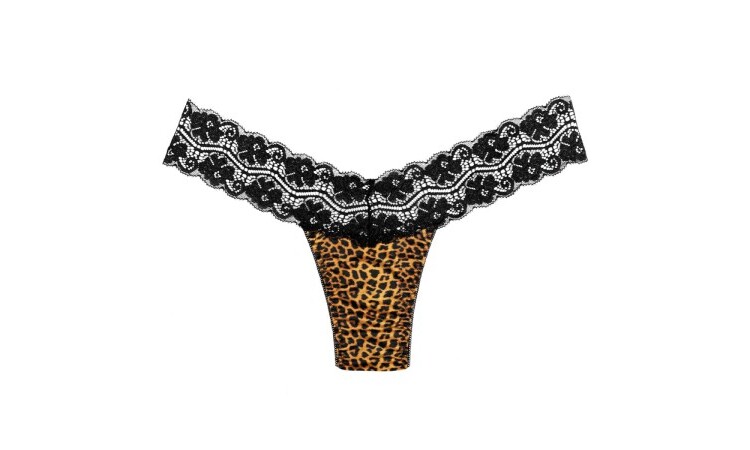 Tania Panty Vibe - Image 4