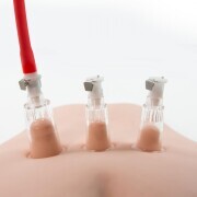 Temptasia - Clit Cylinder  - 1.2 Inch Diameter - Clear - Image 4