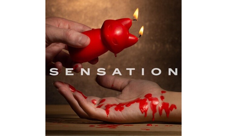 Temptasia SM Vegan Candle - Fox - Image 2