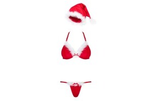 Santastic Sexy Christmas Costume For Women