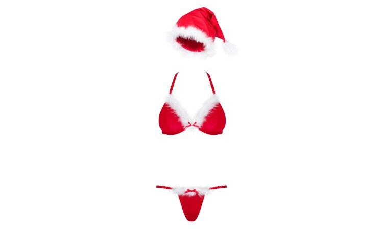 Santastic Sexy Christmas Costume For Women - Image 1