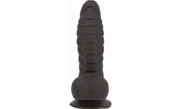 Addiction - Ben Dildo With Suction Cup - 17 cm - Image 2