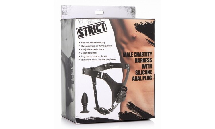 Penis Chastity Belt With Silicone Anal Plug - Image 5