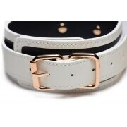 Kink in the Dark - Glow-In-The-Dark Collar With Belt - Image 2