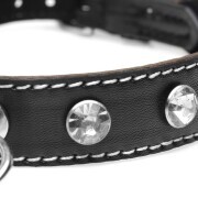 Diamond Choker with O-Ring - Black - Image 2