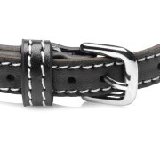 Diamond Choker with O-Ring - Black - Image 4