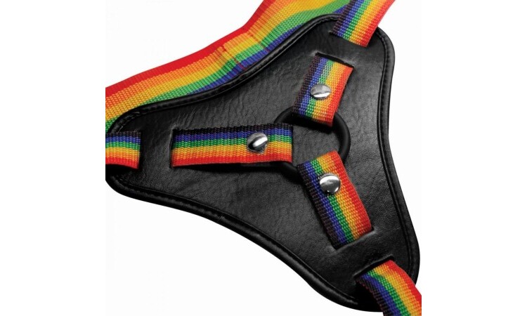 Take the Rainbow Universal Strap-on Harness - Image 2