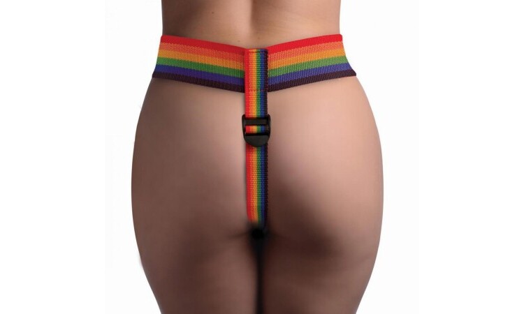 Take the Rainbow Universal Strap-on Harness - Image 4
