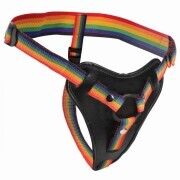 Take the Rainbow Universal Strap-on Harness - Image 1