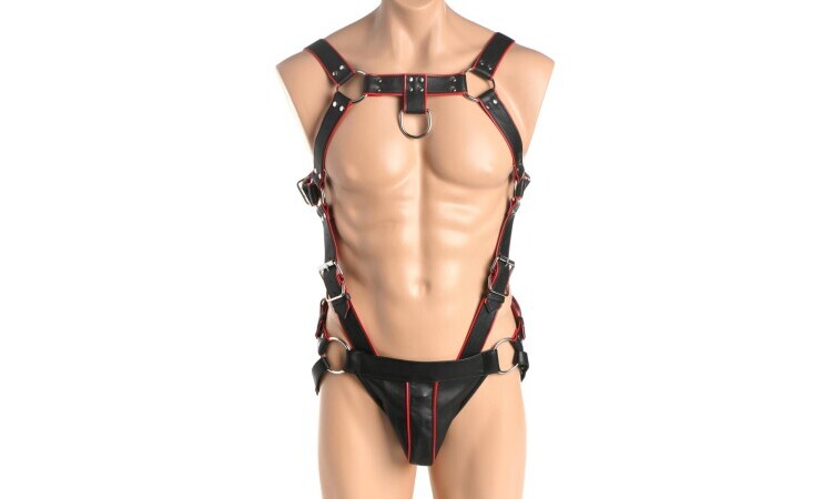 Heathen Harness S/M - Black/Red - Image 5