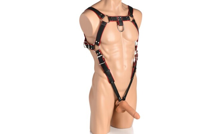 Heathen Harness L/XL - Black, Red - Image 2